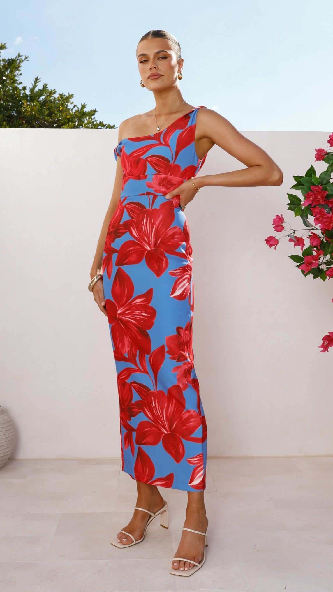 Lorina Maxi Dress - Red/Blue Floral